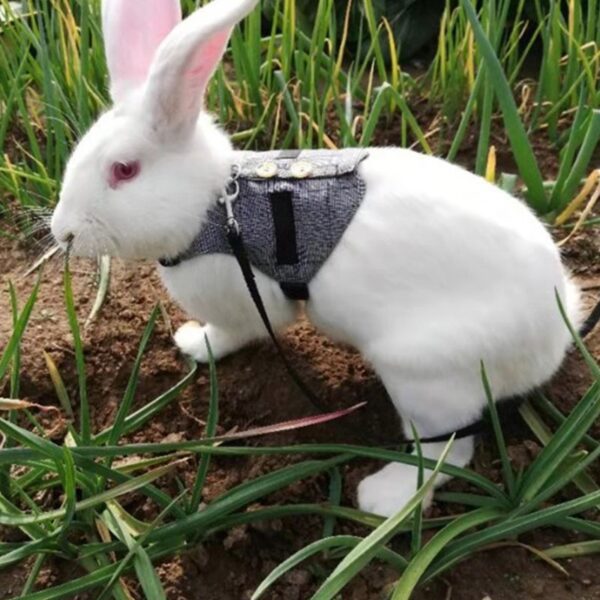 Multipurpose Rabbit Harness Small Pet Leash Chinchillas Vest Clothes - Image 4