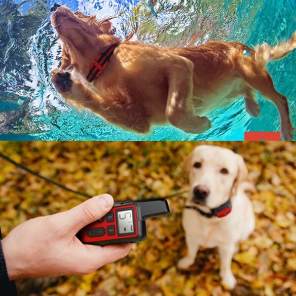 Electric Dog Training Collar Waterproof Pet Remote Control Rechargeable 500m training dogs collars with Shock Vibration Sound - Image 2